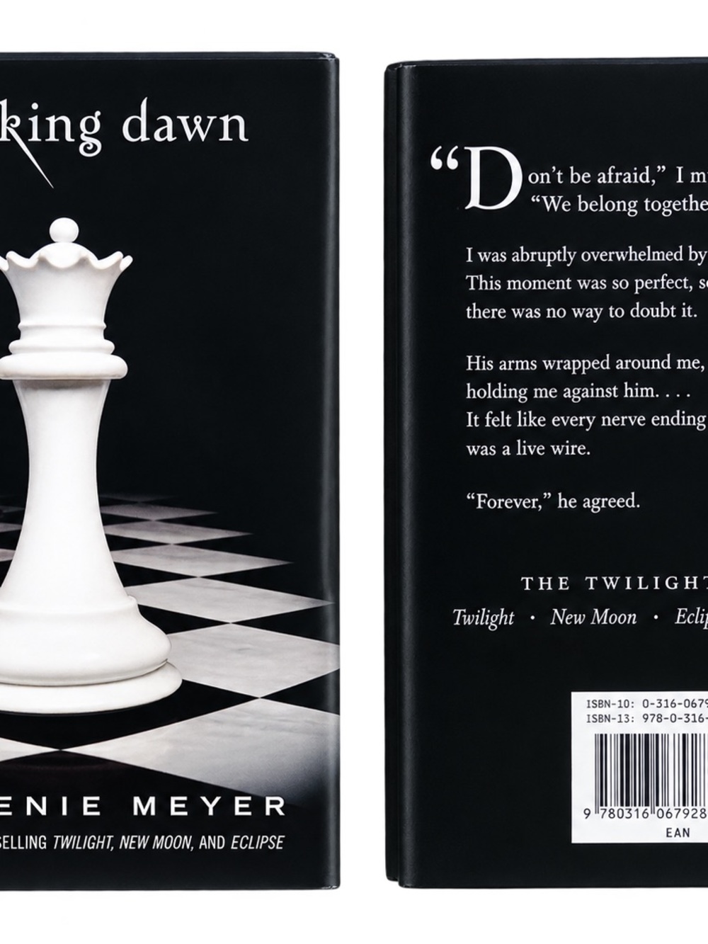 'Breaking Dawn' Hardcover Coffee Table Book - Black